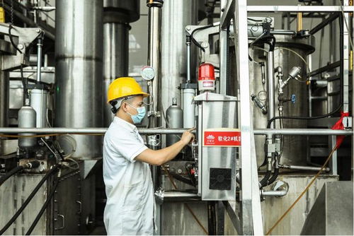 品質升級與技術創新 檳榔產業實現高質量發展的自我革新之路